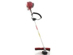 Débroussailleuse à Essence 4 Temps Moteur Honda GX 35 - Poignée Circulaire -Outils De Jardin dbroussailleuse essence 4 temps moteur honda gx 35 poigne circulaire la dbroussailleuse honda gx 35 i 33957 6 1649688184 IMG 62543e7816bb3