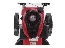 Débroussailleuse Manuelle à Roues GeoTech DG 58 F - Moteur à Essence Loncin 196 Cm3 - Faucheuse -Outils De Jardin dbroussailleuse manuelle roues geotech dg 58 f moteur essence loncin 196 cm3 faucheuse moteur loncin de 196 cm3 13120 1 1525336079 IMG 2620