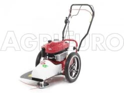 Débroussailleuse à Roues Bluebird FLO Speed 6BS B&S 675 EX