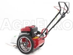 Débroussailleuse à Roues Bluebird FLO Speed 6BS B&S 675 EX 30 Débroussailleuse à Roues Bluebird FLO Speed 6BS B&S 675 EX -Outils De Jardin dbroussailleuse roues bluebird flo speed 6bs b s 675 ex dbroussailleuse roues bluebird flo speed 6bs b s 675 10804 0 1498641589 IMG 9638