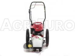 Débroussailleuse à Roues Bluebird FLO Speed 6BS B&S 675 EX 27 Débroussailleuse à Roues Bluebird FLO Speed 6BS B&S 675 EX -Outils De Jardin dbroussailleuse roues bluebird flo speed 6bs b s 675 ex dbroussailleuse roues bluebird flo speed 6bs b s 675 10804 0 1498641594 IMG 9632