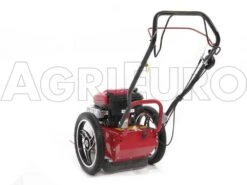 Débroussailleuse à Roues Bluebird FLO Speed 6BS B&S 675 EX 24 Débroussailleuse à Roues Bluebird FLO Speed 6BS B&S 675 EX -Outils De Jardin dbroussailleuse roues bluebird flo speed 6bs b s 675 ex dbroussailleuse roues bluebird flo speed 6bs b s 675 10804 0 1498641598 IMG 9641