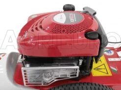 Débroussailleuse à Roues Bluebird FLO Speed 6BS B&S 675 EX 38 Débroussailleuse à Roues Bluebird FLO Speed 6BS B&S 675 EX -Outils De Jardin dbroussailleuse roues bluebird flo speed 6bs b s 675 ex moteur briggs stratton srie 675 ex 10804 7 1498643084 IMG 9649