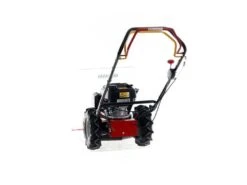 Débroussailleuse à Roues à Essence Autotractée Benassi MD 555 H - Honda GCVx 170 -Outils De Jardin dbroussailleuse roues essence autotracte benassi md 555 h honda gcvx 170 dbroussailleuse roues essence autotracte benassi md 555 h 40351 12 1678184475 IMG 6407101ba4e2e