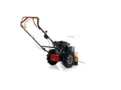 Débroussailleuse à Roues à Essence Autotractée Benassi MD 555 R - Motore Rato RV 150 -Outils De Jardin dbroussailleuse roues essence autotracte benassi md 555 r motore rato rv 150 tondeuse dbroussailleuse essence autotracte benassi md 555 r 40300 12 1678109780 IMG 6405ec5474bf8