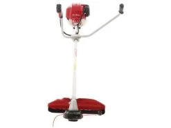 Débroussailleuse Avec Poignée Double Moteur Honda GX 50 4 Temps - BlueBird -Outils De Jardin debroussailleuse avec poignee double moteur honda gx 50 4 temps bluebird debroussailleuse honda gx 50 21931 21 1579620660 IMG 0041