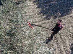 Peigne Vibreur à Batterie Sur Perche Fixe Infaco V5000P3AF - 48V 17Ah -Outils De Jardin peigne vibreur batterie sur perche fixe infaco v5000p3af 48v 17ah la perche fixe en carbone 220 cm 38289 9 1667230285 IMG 635fea4d1ba55