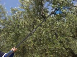 Peigne Vibreur électrique à Batterie Campagnola Alice ECO NEW De 150-220 Cm - Perche En CARBONE -Outils De Jardin peigne vibreur lectrique batterie campagnola alice eco new de 150 220 cm perche en carbone peigne vibreur alice campagnola 9430 0 1477575400 TOP 0sds0023