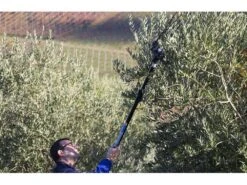 Peigne Vibreur électrique à Batterie Campagnola HERCULES 58V Avec Perche En Carbone 200 Cm -Outils De Jardin peigne vibreur lectrique batterie campagnola hercules 58v avec perche en carbone 200 cm caractristiques principales 25912 7 1604673300 IMG 5fa55f14afcb2