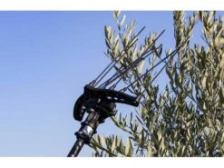 Peigne Vibreur électrique à Batterie Campagnola HERCULES 58V Avec Perche En Carbone 200 Cm -Outils De Jardin peigne vibreur lectrique batterie campagnola hercules 58v avec perche en carbone 200 cm caractristiques principales 25912 7 1604673300 IMG 5fa55f14caf52