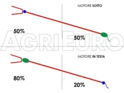 Peigne Vibreur électrique à Batterie Campagnola Premium Alice 58V 200cm -Perche Fixe Carbone -Outils De Jardin peigne vibreur lectrique batterie campagnola premium alice 58v 200cm perche fixe carbone le moteur la base de la perche 6255 4 1411052086 abbacchiatore elettrico alice campagnola f