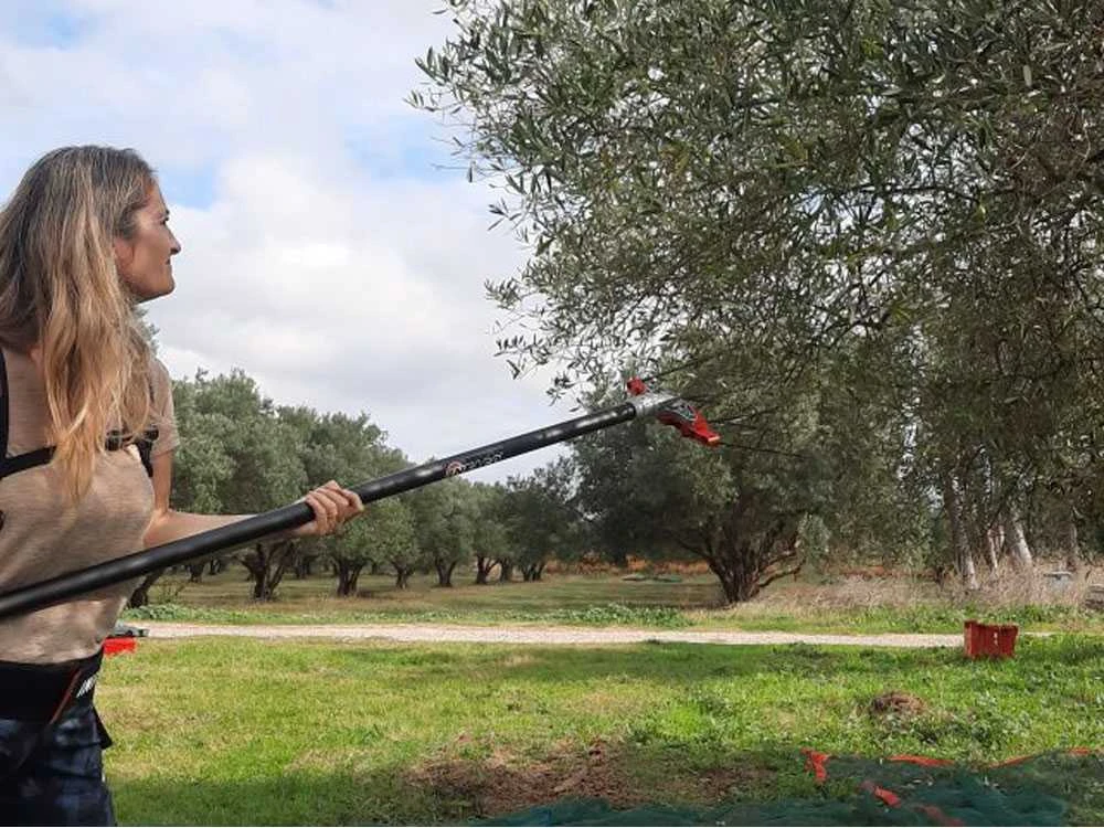 Peigne Vibreur électrique à Batterie Infaco V5000P3EF Sur Perche Fixe De 250 Cm - Batterie à Dos Incluse 19 Peigne Vibreur électrique à Batterie Infaco V5000P3EF Sur Perche Fixe De 250 Cm - Batterie à Dos Incluse – Image 17