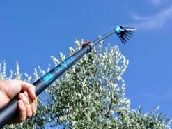 Peigne Vibreur électrique à Batterie Lisam Oliveco - Avec Dents En Nylon - Perche Télescopique -Outils De Jardin peigne vibreur lectrique batterie lisam oliveco avec dents en nylon perche tlescopique caractristiques principales 36365 16 1661847141 IMG 630dc66509da5