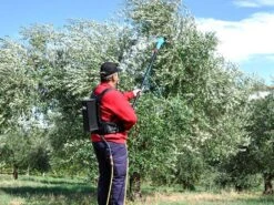 Peigne Vibreur électrique à Batterie Lisam Oliveco - Avec Dents En Nylon - Perche Télescopique -Outils De Jardin peigne vibreur lectrique batterie lisam oliveco avec dents en nylon perche tlescopique caractristiques principales 36365 16 1661847141 IMG 630dc665a68e0