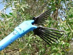 Peigne Vibreur électrique à Batterie Lisam Oliveco - Avec Dents En Nylon - Perche Télescopique -Outils De Jardin peigne vibreur lectrique batterie lisam oliveco avec dents en nylon perche tlescopique peigne vibreur lisam oliveco 36365 15 1661847138 IMG 630dc662bbf20