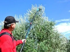 Peigne Vibreur électrique à Batterie Lisam Oliveco - Avec Dents En Nylon - Perche Télescopique -Outils De Jardin peigne vibreur lectrique batterie lisam oliveco avec dents en nylon perche tlescopique peigne vibreur lisam oliveco 36365 15 1661847140 IMG 630dc6640c15e