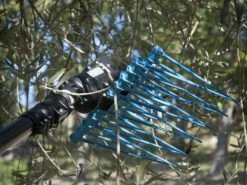 Peigne Vibreur à Moteur Thermique Alice Campagnola Moteur 2T Kawasaki - Perche En Carbone 150-220 Cm