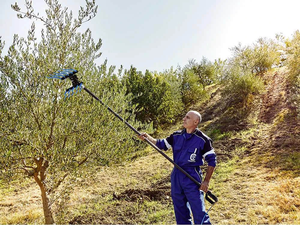 Peigne Vibreur Pneumatique Campagnola PIUMA - 6 Bars, 1500 Rpm 3 Peigne Vibreur Pneumatique Campagnola PIUMA - 6 Bars, 1500 Rpm