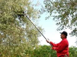 Peigne Vibreur Pneumatique Lisam MG Magnesium - 7 - 8 Bars - 1700 Battements Par Minute -Outils De Jardin peigne vibreur pneumatique lisam mg magnesium 7 8 bars 1700 battements par minute les dents 36221 4 1661852587 IMG 630ddbab23507