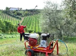 Peigne Vibreur Pneumatique Lisam MG Turbo - 7 - 8 Bars - 1800 Battements Par Minute -Outils De Jardin peigne vibreur pneumatique lisam mg turbo 7 8 bars 1800 battements par minute les pointes 36112 4 1661852122 IMG 630dd9da92473