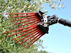 Peigne Vibreur Pneumatique Lisam V8 Evo -7 - 8 Bars - 1900 Battements Par Minute -Outils De Jardin peigne vibreur pneumatique lisam v8 evo 7 8 bars 1900 battements par minute caractristiques techniques 36087 3 1661851762 IMG 630dd87241f27