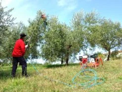 Peigne Vibreur Pneumatique Lisam V8 Evo -7 - 8 Bars - 1900 Battements Par Minute -Outils De Jardin peigne vibreur pneumatique lisam v8 evo 7 8 bars 1900 battements par minute les dents 36087 4 1661851761 IMG 630dd87197b19