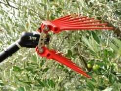 Peigne Vibreur Pneumatique Lisam V8 Titanium - Peigne à Olives 7 - 8 Bars - 2000 Battements Par Minute -Outils De Jardin peigne vibreur pneumatique lisam v8 titanium peigne olives 7 8 bars 2000 battements par minute caractristiques techniques 36105 3 1661851177 IMG 630dd62954ec4