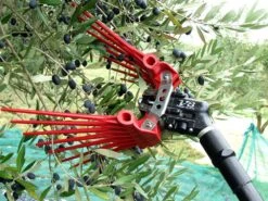 Peigne Vibreur Pneumatique Lisam V8 Titanium - Peigne à Olives 7 - 8 Bars - 2000 Battements Par Minute -Outils De Jardin peigne vibreur pneumatique lisam v8 titanium peigne olives 7 8 bars 2000 battements par minute les dents 36105 4 1661851176 IMG 630dd628a6ea9