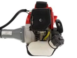 Peigne Vibreur Thermique Alice Campagnola Moteur 2T Kawasaki - Perche En Carbone 200 Cm -Outils De Jardin peigne vibreur thermique alice campagnola moteur 2t kawasaki perche en carbone 200 cm le moteur 31982 2 1637939645 IMG 61a0f9bd0d7f8