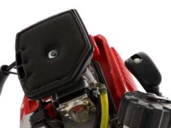 Peigne Vibreur Thermique Alice Campagnola Moteur 2T Kawasaki - Perche En Carbone 200 Cm -Outils De Jardin peigne vibreur thermique alice campagnola moteur 2t kawasaki perche en carbone 200 cm le moteur 31982 2 1637939645 IMG 61a0f9bd0fb9e