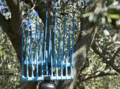 Peigne Vibreur Thermique Alice Campagnola Moteur 2T Kawasaki - Perche En Carbone 200 Cm