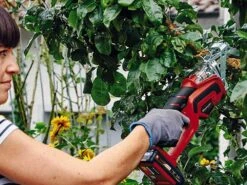 Scie à Batterie Einhell GE-GS 18 Li PXC - Batterie De 18V 2.5ah -Outils De Jardin scie batterie einhell ge gs 18 li pxc batterie de 18v 2 5ah scie batterie einhell ge gs 18 li pxc 29714 1 1623142211 IMG 60bf2f4396f2a