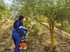 Secoueur à Olives Thermique à Crochet Campagnola GSM Toro Evoluzione K - Perche Fixe De 200 -Outils De Jardin secoueur olives thermique crochet campagnola gsm toro evoluzione k perche fixe de 200 le moteur 32591 4 1642510731 IMG 61e6b98b10187