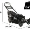 Tondeuse à Gazon Blackstone SP-4X 510 H200 - Avec Roues Pivotantes Et Moteur HONDA GCV200 -Outils De Jardin tondeuse a gazon blackstone sp 4x 510 h200 avec roues pivotantes et moteur honda gcv200 tondeuse a gazon blackstone sp 4x 510 h200 26931 1 1652432915 IMG 627e2013d4174