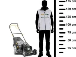 Outils De Jardin -Outils De Jardin tondeuse autotracte alpina al5 51 saq avec moteur thermique st 170 coupe 51 cm tondeuse gazon alpina al5 51 saq 26368 1 1607943437 IMG 5fd7450de024d