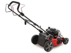 Tondeuse Autotractée Ama TRX 461B - B&S - Ramassage, Mulching, éjection Latérale Et Arrière -Outils De Jardin tondeuse autotracte ama trx 461b b s ramassage mulching jection latrale et arrire tondeuse ama trx 461b 16047 1 1554126034 IMG 0114