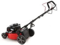 Tondeuse Autotractée Ama TRX 461B - B&S - Ramassage, Mulching, éjection Latérale Et Arrière -Outils De Jardin tondeuse autotracte ama trx 461b b s ramassage mulching jection latrale et arrire tondeuse ama trx 461b 16047 1 1554126034 IMG 0115
