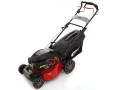 Tondeuse Autotractée Ama TRX 481H Bac, Mulching, éjection Latérale, Postérieure - Honda GCVx 27 Tondeuse Autotractée Ama TRX 481H Bac, Mulching, éjection Latérale, Postérieure - Honda GCVx -Outils De Jardin tondeuse autotracte ama trx 481h bac mulching jection latrale postrieure honda gcvx tondeuse ama trx 481h 16125 1 1554306653 IMG 0248