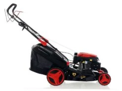 Tondeuse Autotractée Blue Bird Sprint B46 T - 4 En 1 - Coupe De 46 Cm 28 Tondeuse Autotractée Blue Bird Sprint B46 T - 4 En 1 - Coupe De 46 Cm -Outils De Jardin tondeuse autotracte blue bird sprint b46 t 4 en 1 coupe de 46 cm tondeuse autotracte blue bird sprint b46 t 35835 1 1658148577 IMG 62d556e185250