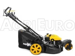 Tondeuse Autotractée Mowox PM 5160 SE TRIKE - Roue Rotative - Démarrage électrique -Outils De Jardin tondeuse autotracte mowox pm 5160 se trike roue rotative dmarrage lectrique tondeuse mowox pm 5160 se trike 10356 5 1490368930 IMG 0737