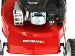Tondeuse à Gazon Weibang WB455HCOP Avec Moteur Thermique 139cm3 - Coupe De 45cm 40 Tondeuse à Gazon Weibang WB455HCOP Avec Moteur Thermique 139cm3 - Coupe De 45cm -Outils De Jardin tondeuse gazon weibang wb455hcop avec moteur thermique 139cm3 coupe de 45cm moteur loncin 27378 2 1614678423 IMG 603e0997b8ee0
