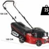 Tondeuse Manuelle Ama TRX 421 - 3en1: Ramassage + éjection Arrière + Mulching -Outils De Jardin tondeuse manuelle ama trx 421 3en1 ramassage jection arrire mulching tondeuse gazon ama trx 421 25312 1 1601025312 IMG 5f6db520d985d