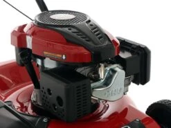 Tondeuse Mulching Marina Systems GX BIOMULCH 51SL - Moteur Loncin 65FC -Outils De Jardin tondeuse mulching marina systems gx biomulch 51sl moteur loncin 65fc moteur loncin 65fc 34136 11 1650446720 IMG 625fd18075be8