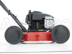 Tondeuse Thermique Marina Systems Speedy 40 LB BS450E 36 Tondeuse Thermique Marina Systems Speedy 40 LB BS450E -Outils De Jardin tondeuse thermique marina systems speedy 40 lb bs450e lame mulching et chssis en acier inox 6870 3 1424162672 IMG 0101