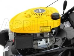 Tondeuse Thermique Mowox PM 4135 P - Coupe 41 Cm - Moteur Thermique 98,5 Cm3 -Outils De Jardin tondeuse thermique mowox pm 4135 p coupe 41 cm moteur thermique 98 5 cm3 moteur mowox 98 5 cc 10316 6 1490082596 IMG 9862