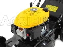 Tondeuse Thermique Mowox PM 4135 P - Coupe 41 Cm - Moteur Thermique 98,5 Cm3 -Outils De Jardin tondeuse thermique mowox pm 4135 p coupe 41 cm moteur thermique 98 5 cm3 moteur mowox 98 5 cc 10316 6 1490082598 IMG 9861