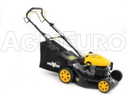 Tondeuse Thermique Mowox PM 5060 S - Coupe 51 Cm - Moteur 173 Cm3 - Traction Arrière -Outils De Jardin tondeuse thermique mowox pm 5060 s coupe 51 cm moteur 173 cm3 traction arrire tondeuse mowox pm 5060 s 10283 5 1489672327 IMG 9608