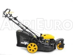 Tondeuse Thermique Tractée Mowox PM 4645 S Trike Avec Roue Avant Rotative -Outils De Jardin tondeuse thermique tracte mowox pm 4645 s trike avec roue avant rotative tondeuse gazon mowox pm 4645 s trike 10306 1 1490004368 IMG 9451