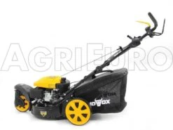 Tondeuse Thermique Tractée Mowox PM 4645 S Trike Avec Roue Avant Rotative -Outils De Jardin tondeuse thermique tracte mowox pm 4645 s trike avec roue avant rotative tondeuse gazon mowox pm 4645 s trike 10306 1 1490004371 IMG 9456