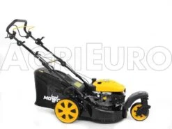 Tondeuse Thermique Tractée Mowox PM 4645 S Trike Avec Roue Avant Rotative -Outils De Jardin tondeuse thermique tracte mowox pm 4645 s trike avec roue avant rotative tondeuse gazon mowox pm 4645 s trike 10306 1 1490004374 IMG 9450